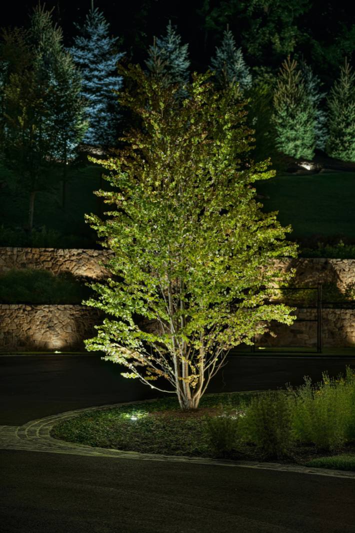 Easy to install tree lighting