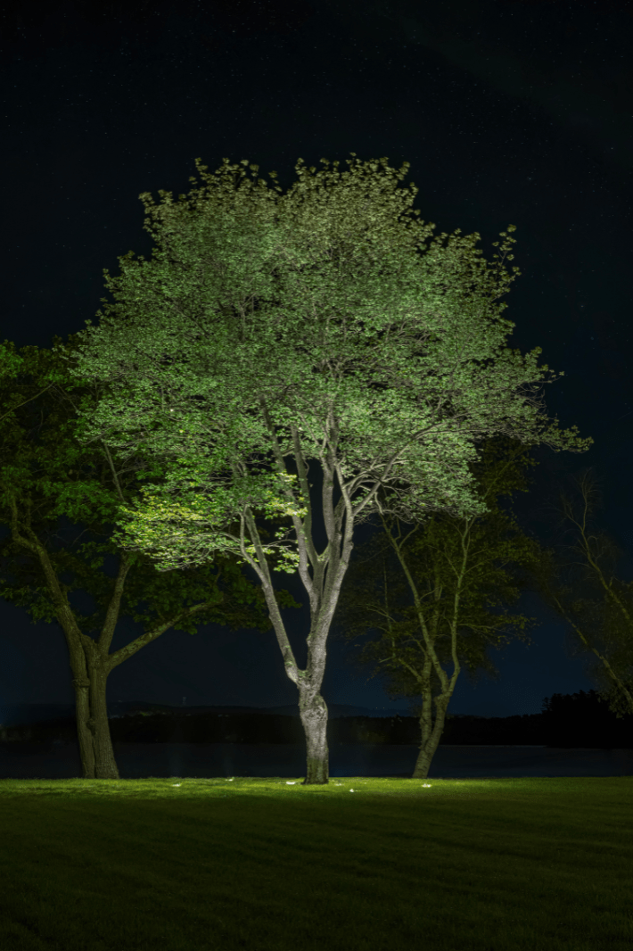 Outdoor lighting